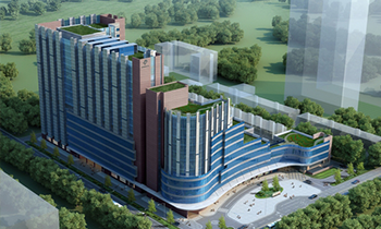 甘肃省妇幼保健院信息平台